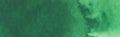 QoR Modern Watercolour - 11 ml tube - Permanent Green Light