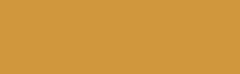 Georgian Oil Colour - 225 ml tube - Raw Sienna