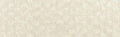 PanPastel - Raw Umber Tint 780.8