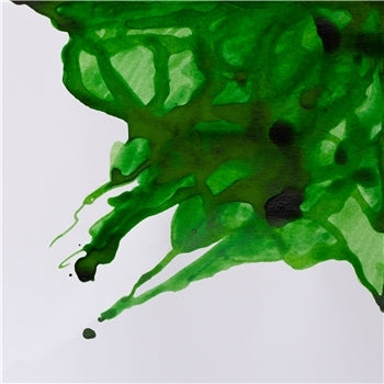 Winsor & Newton Drawing Ink - 14 ml bottle - Apple Green