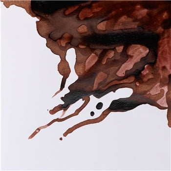 Winsor & Newton Drawing Ink - 14 ml bottle - Nut Brown