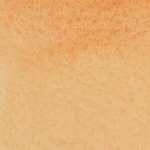 Winsor & Newton Watercolour Marker - Burnt Sienna