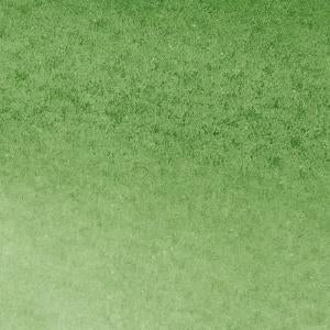 Winsor & Newton Watercolour Marker - Hooker's Green