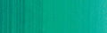 Winsor & Newton Winton Oil Colour - 200 ml tube - Viridian Hue