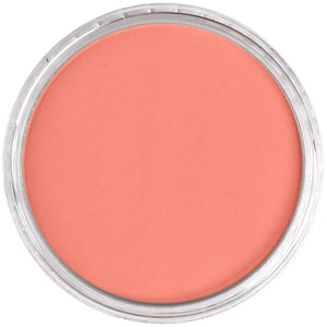 PanPastel - Vermilion Medium 310.6