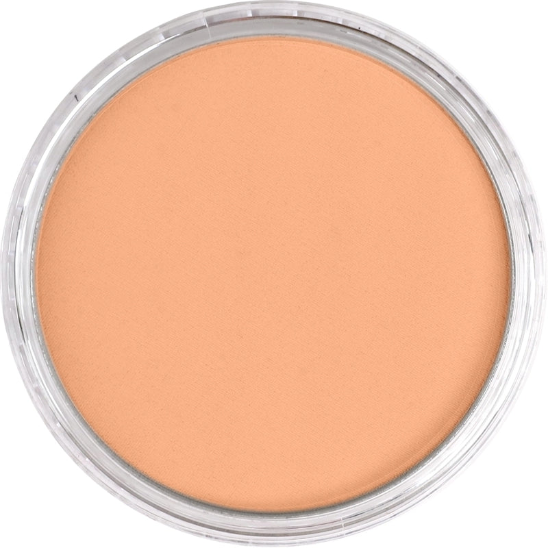 PanPastel - Burnt Sienna Light 740.7
