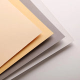 Clairefontaine Pastelmat Pastel Pad - 12" x 15.5" - Palette No. 1