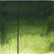 QoR Modern Watercolour - 11 ml tube - Sap Green