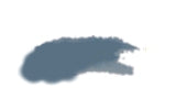 FW Artists' Acrylic Ink - 1 oz. bottle - Payne's Grey