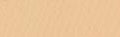 Canson Mi-Teintes Paper 19" x 25" - Ivory #111