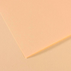 Canson Mi-Teintes Paper 19" x 25" - Ivory #111