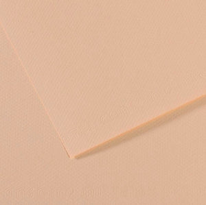 Canson Mi-Teintes Paper 19" x 25" - Eggshell #112