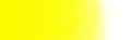 Winsor & Newton Winton Oil Colour - 37 ml tube - Cadmium Yellow Medium