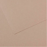 Canson Mi-Teintes Paper 19" x 25" - Flannel Gray #122