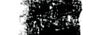 Conté à Paris Carré Colour Crayon - Black 2B (2460 / 2B) 