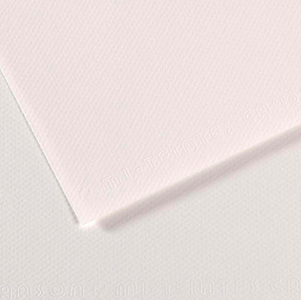Canson Mi-Teintes Paper 19" x 25" - White #335