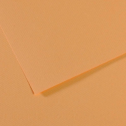 Canson Mi-Teintes Paper 19" x 25" - Oyster #340