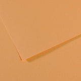 Canson Mi-Teintes Paper 19" x 25" - Oyster #340
