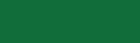 Daler Rowney Graduate Acrylic - 500 ml bottle - Hookers Green