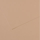 Canson Mi-Teintes Paper 19" x 25" - Pearl Grey #120