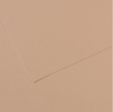 Canson Mi-Teintes Paper 19" x 25" - Pearl Grey #120