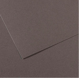 Canson Mi-Teintes Paper 19" x 25" - Dark Gray #345