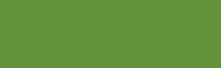 Daler Rowney Graduate Acrylic - 500 ml bottle - Sap Green