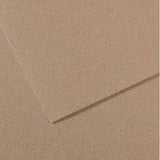 Canson Mi-Teintes Paper 19" x 25" - Felt Gray #429