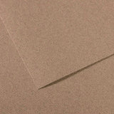 Canson Mi-Teintes Paper 19" x 25" - Steel Gray #431