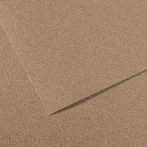 Canson Mi-Teintes Paper 19" x 25" - Steel Gray #431
