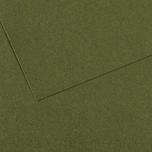 Canson Mi-Teintes Paper 19" x 25" - Ivy #448