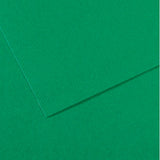 Canson Mi-Teintes Paper 19" x 25" - Viridian #575