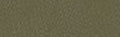 PanPastel - Bright Yellow Green Extra Dark 680.1