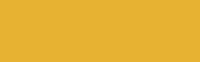 Daler Rowney Graduate Acrylic - 500 ml bottle - Yellow Ochre