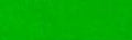 Dr. Ph. Martin's TECH Drawing Ink - 8 oz. bottle - April Green