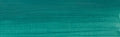 Winsor & Newton Artists' Oil Colour - 37 ml tube - Cobalt Green