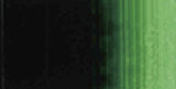Holbein Heavy Body Artist Acrylic - 2 oz. tube - Hooker's Green