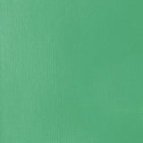 Liquitex Heavy Body Acrylic - 2 oz. tube - Bright Aqua Green