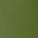 Liquitex Heavy Body Acrylic - 2 oz. tube - Chromium Oxide Green