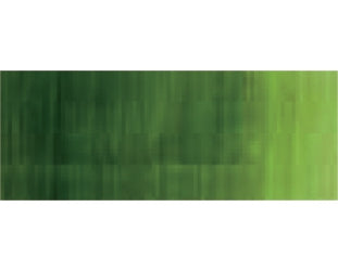 Holbein DUO Aqua Oil - 40 ml tube - Sap Green