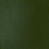 Liquitex Heavy Body Acrylic - 2 oz. tube - Hookers Green Hue Permanent