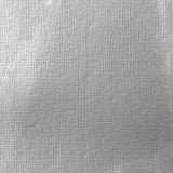 Liquitex Heavy Body Acrylic - 2 oz. tube - Iridescent Bright Silver