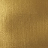 Liquitex Heavy Body Acrylic - 2 oz. tube - Iridescent Rich Gold
