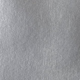Liquitex Heavy Body Acrylic - 2 oz. tube - Iridescent Rich Silver