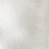 Liquitex Heavy Body Acrylic - 2 oz. tube - Iridescent White