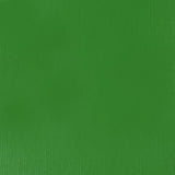 Liquitex Heavy Body Acrylic - 2 oz. tube - Light Green Permanent