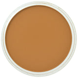 PanPastel - Orange Shade 280.3
