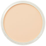 PanPastel - Orange Tint 280.8