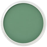 PanPastel - Permanent Green Shade 640.3