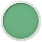 PanPastel - Permanent Green 640.5